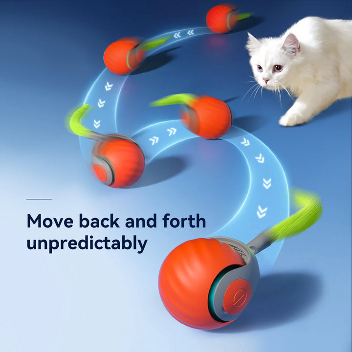 Smart Cat Ball Toys