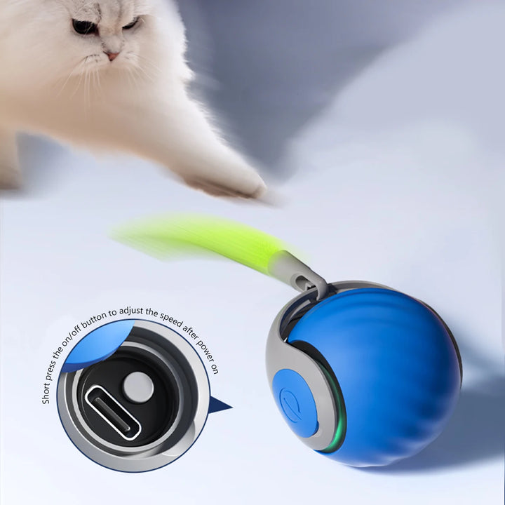 Smart Cat Ball Toys